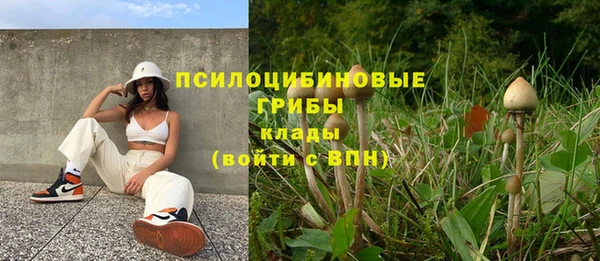 Альфа ПВП Болохово