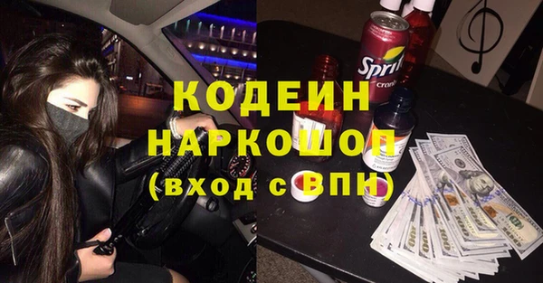 apvp Бикин