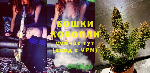 mdpv Осташков