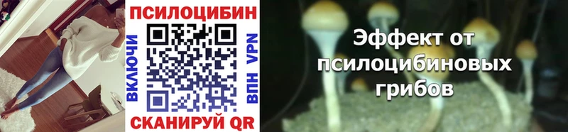 Псилоцибиновые грибы мицелий  Кудрово 