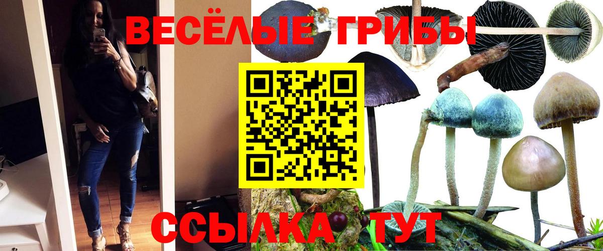 Галлюциногенные грибы прущие грибы Кудрово