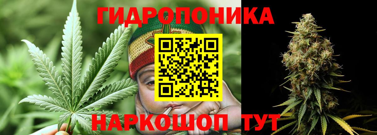 Кудрово  Бошки марихуана Ganja  Вход с VPN  МАРИХУАНА LSD WEED  Шишки марихуана Ganja 